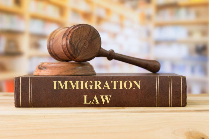 Get Professional Immigration Advice Christchurch