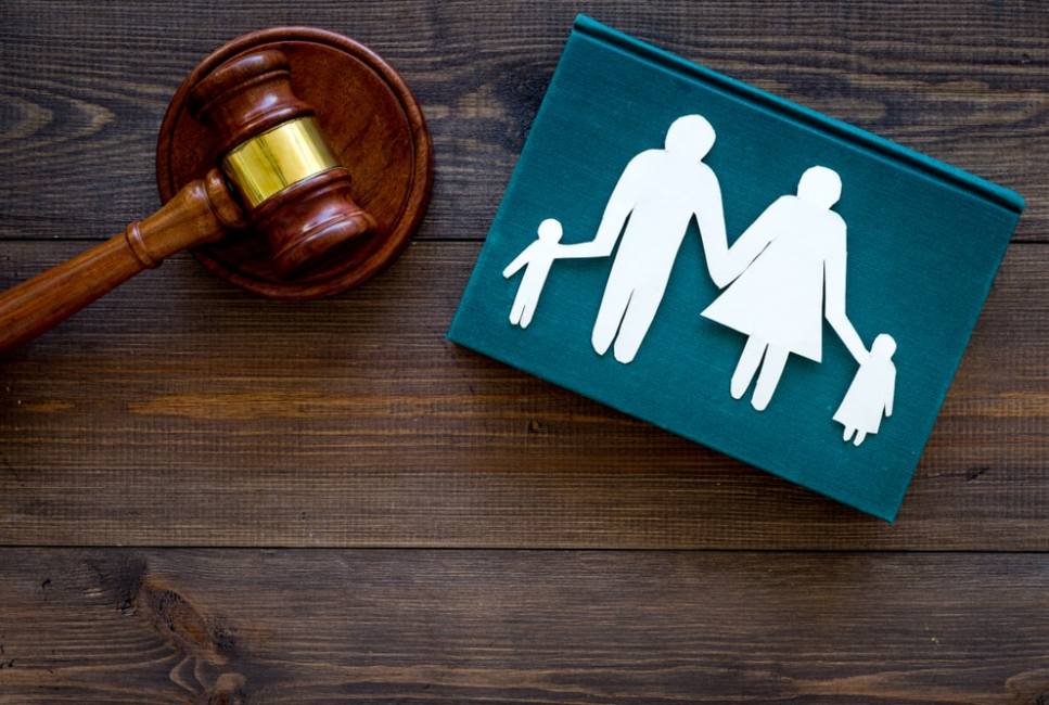 Why You Should Consider Hiring Family Law Lawyers in Newcastle NSW?